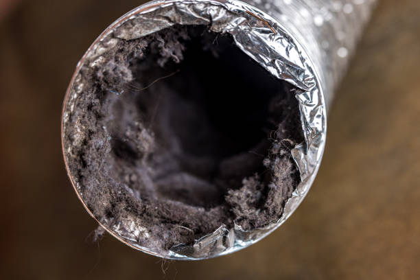 Best General Air Duct Cleaning  in Harbor Isle, NY