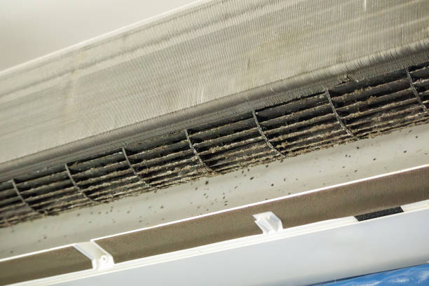 Best General Air Duct Cleaning  in Harbor Isle, NY